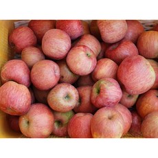 예산사과 흠과10kg 가정용 실속형