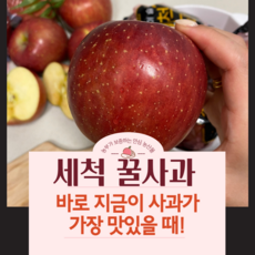 껍질채 먹는 세척사과 경북 부사 고당도 꿀사과, (가정용 못난이) 중소과 로얄 11-15과 3kg