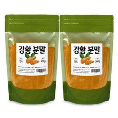 강황가루 인도산 커큐민분말 효능 500g 2봉지
