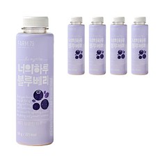 팜79 너의하루 블루베리 가루 5p, 1개, 250g