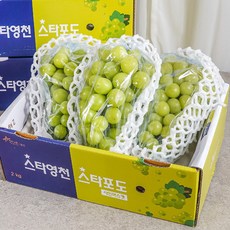 [샤인머스켓 포도] 2kg 품질포증 가정 선물 용 샤인머스캣 거봉 망고 청 포도 과일 실속 선물세트 3수 4 5수, 샤인머스켓 2kg(3수) 프리미엄 특품