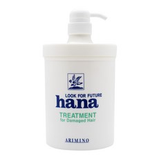 일진 아리미노 하나 트리트먼트 1000ml