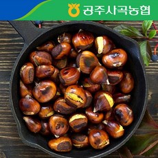 맛있는 2022년 대보 공주알밤 칼집밤 2kg / 대
