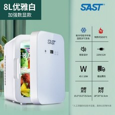 미니냉장고 약보관 차량용 화장품 초소형 소형 온장고 냉온장고 저온 냉장고 캠핑 맥주, J