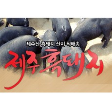 탐라몰 제주 흑돼지 오겹살 목살 전지 1kg 2kg 3kg, 1박스, 흑돼지 목살 2kg(2팩)