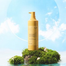 모다모다 프로체인지 다크닝 샴푸 300g, 3개