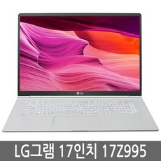 LG그램 17인치 노트북 17Z995/17ZD995, 17Z995, WIN10 Home, 8GB, 256GB, 코어i5, 랜덤