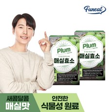 기타 퍼니트 매실효소 30포 2박스(2개월분)