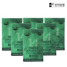 한미양행 카테킨 14 녹차 추출물 다이어트 보조제 700mg 6박스+쇼핑백+(6개입)한알가득멀티비타민 증정