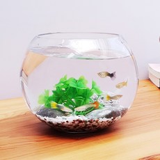잎새몰 구피어항 미니수족관 어항세트 어항, 투명