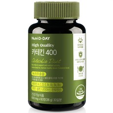 뉴트리디데이 녹차 카테킨 400 35g, 60정, 1개