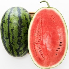 씨없는 꿀수박 흑수박 망고수박, 1통, 꿀수박 5kg 이상