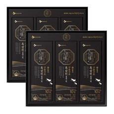 CJ 한뿌리 흑삼농축액 30% 구증구포 흑삼진 블랙 스틱, 300g, 2개