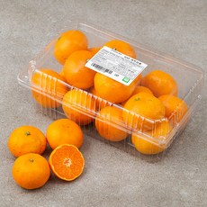 GAP 제주감귤, 1.5kg, 1팩