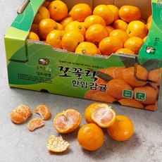 GAP 인증 올레길 쪼꼴락 당도선별 감귤, 3kg, 1박스