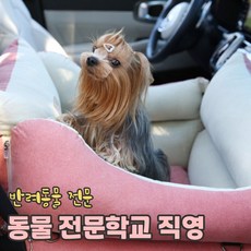 리토가토 스마트 강아지 카시트 (레드 / 커버분리형) 순면 방수 - 반려동물 학교, 블루 (안전고리1개 set)