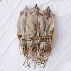 [구룡포수협]반건조 피데기 오징어 국산 부드러운 동해 버터 안주, 0.9kg(10미)