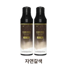 식약처 기능성 보고완료 골드라벨 청담스타일 포레스트 블랙체인지 염색샴푸, 자연갈색 2개