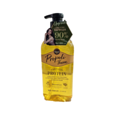 엘라스틴 프로폴리테라 안티에이징케어 샴푸 가늘고 힘없는 모발용 자스민향, 500ml, 1개