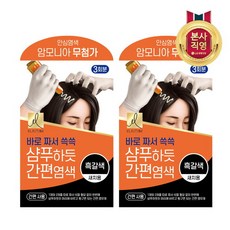 엘라스틴 샴푸하듯 간편염색약 60g, 2개, 흑갈색