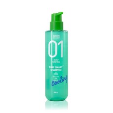 아모스 01 퓨어 스마트 쿨 샴푸 500g 쿨샴푸 정품 특판가, 500ml, 2개