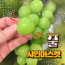 씨없는 포도 프리미엄 샤인머스켓 2kg(3-4수) 샤인머스캣 2kg