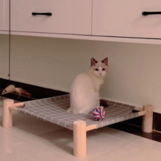 요기쏘 고양이 원목 이동식 해먹 침대, 체크 그레이