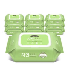 [실라리안]드림제지 천연 친환경 물티슈 내일에 자연을 담다 캡형 10팩x60매, 단품