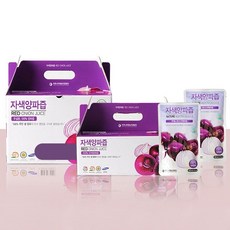 자연나라영농조합법인 무안황토 자색 양파즙, 100ml, 60개