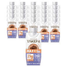 테이크핏 내몸에 핏한 단백질 플랜 맥스 초코맛 음료, 24개, 250ml