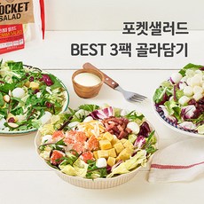 포켓샐러드 BEST 3팩 밀키트 채소 야채 샐러드 배달 도시락, 02.그린 샐러드 3팩