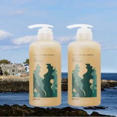 청미정 다시마 샴푸 500ml 1+1
