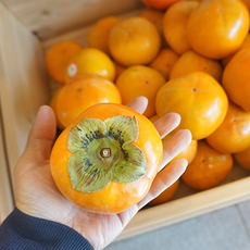 [산지에서바로]아삭한 고당도 제철 단감 프리미엄, 품질선별 단감 (상) 5kg (27-30과)