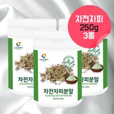 대용량 차전자피 분말 파우더 차전자 차전피 가루 자전차피 자전자피 효소 식물성 수용성 불용성 식이섬유 수용성 섬유질 임산부 차전자피 약 3달분 750g, 3, 250g
