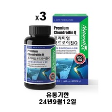 네추럴라이즈 프리미엄 콘드로이친Q 600mg x 60정, 1개, 180정