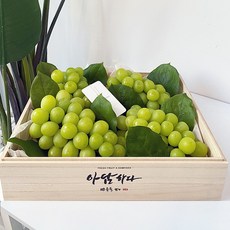 [이푸룸] [오동나무상자]샤인머스켓 선물세트 3kg내외(4수), 단품