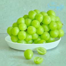[씨기프트]프리미엄 샤인머스켓 2kg 가정용 선물용 포도, 단품