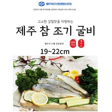 제주수협 참조기 굴비 장대 19~22cm 국내산굴비 제주도 수협 조기 진공포장굴비, 10마리