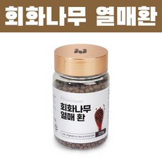 회화나무 열매환 220g 회화나무효능 이소플라본, 1개