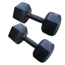 대한스포츠 육각아령 2p, 3kg