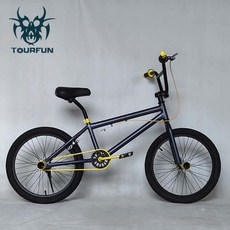 BMX 자전거 크로몰덴강 SHOWKE 묘기자전거 바스핀 고급형 BMX자전거 스트리트 레인보우bmx, cm, BI