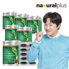 내츄럴플러스 차태현 징코 오메가3 60캡슐 6박스 12개월분, 단품/단품
