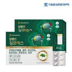 대웅생명과학 혈행엔 징코맥스 120정 4개월분 은행잎 추출물 혈행개선 기억력개선 영양제, 2개