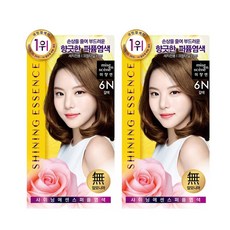 미장센 거품 퍼펙트 샤이닝염색 헬로버블 염색약 2개, 샤이닝염색6N 갈색 1+1