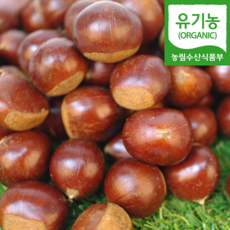 (자연마을) 충남 공주 유기농 정안 햇 대보밤 2kg(대), 유기농 대보밤 2kg(1kg*2봉)