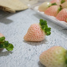 하얀딸기 흰딸기 설화향 눈꽃딸기 설화 백딸기 설희, 하얀딸기 500g(난좌포장)
