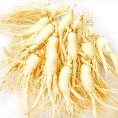후금이네 가정용 햇 수삼 세척인삼, 1개, 700g 12뿌리-16뿌리