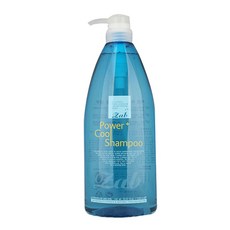 모나리자 자브 파워 플러스 쿨 샴푸 1000ml 쿨샴푸, 1개