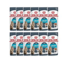로얄캐닌 캣 유리너리 케어 파우치 85g, 12개