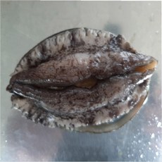 [소비자 4년연속 대상수상] 완도전복 8미~9미 1kg, 1개